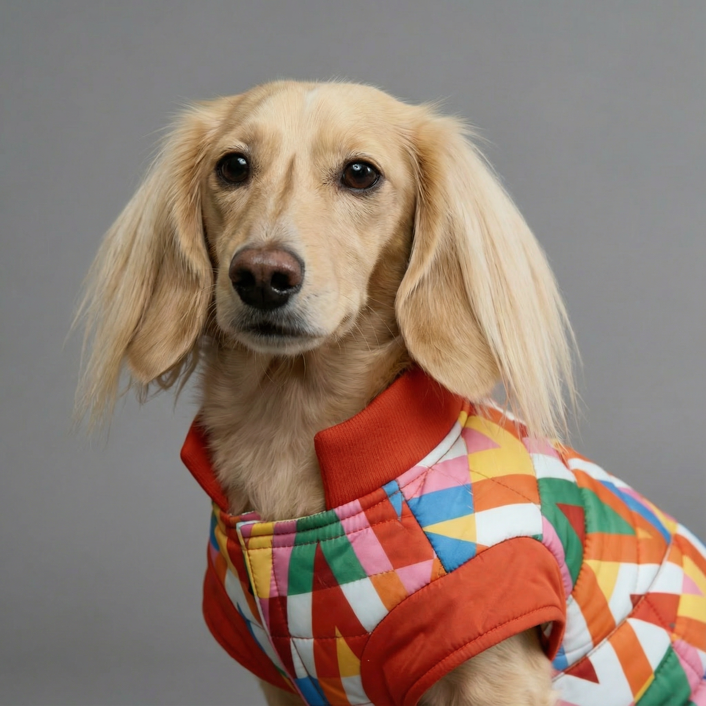 Color Splash Wasserdichte Pufferjacke