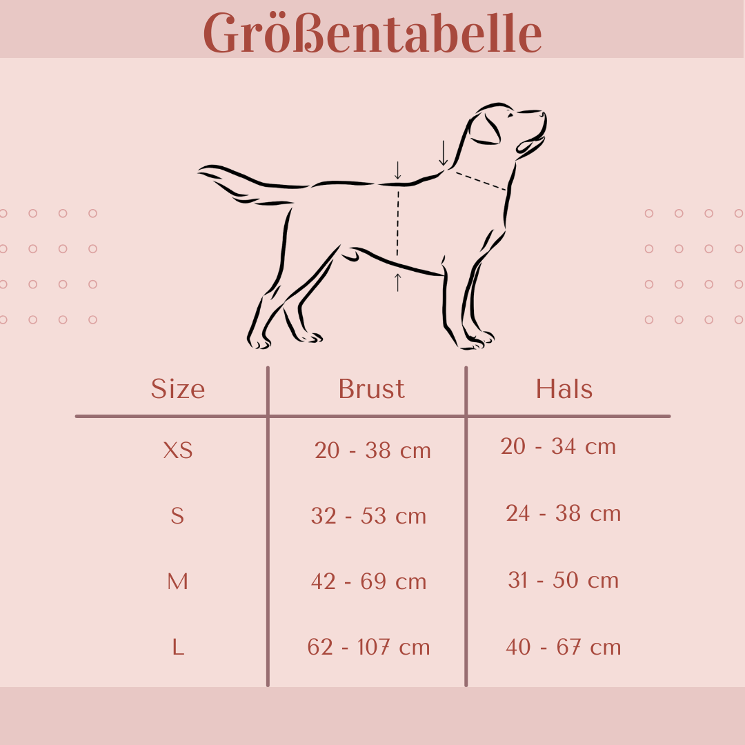 Hundegeschirr Galaxy