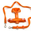 Hundegeschirr-Set Teddy Orange