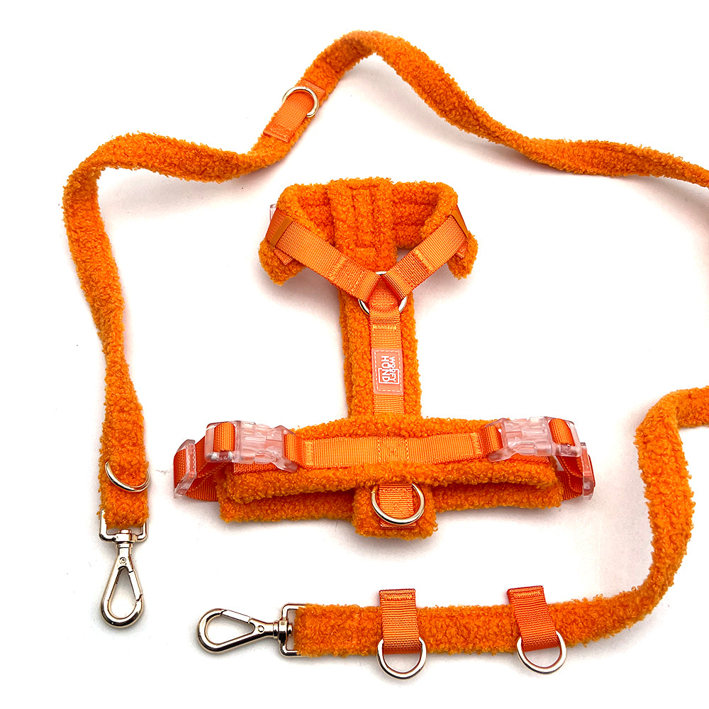 Hundegeschirr-Set Teddy Orange