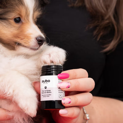 Mubo Paw & Nose Natural Balm Stick (25g) – Intensiv pflegender Pfoten- & Nasenbalsam für Hunde & Katzen