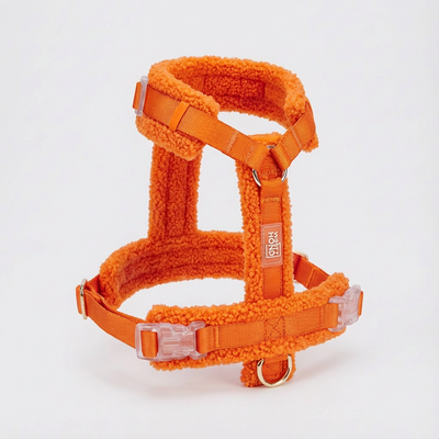 Hundegeschirr-Set Teddy Orange
