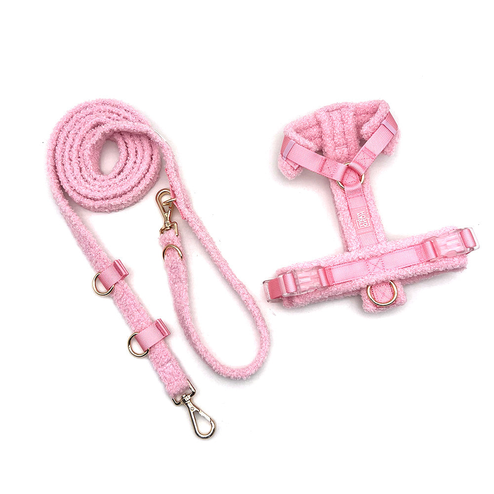 Hundegeschirr-Set Teddy Rosa