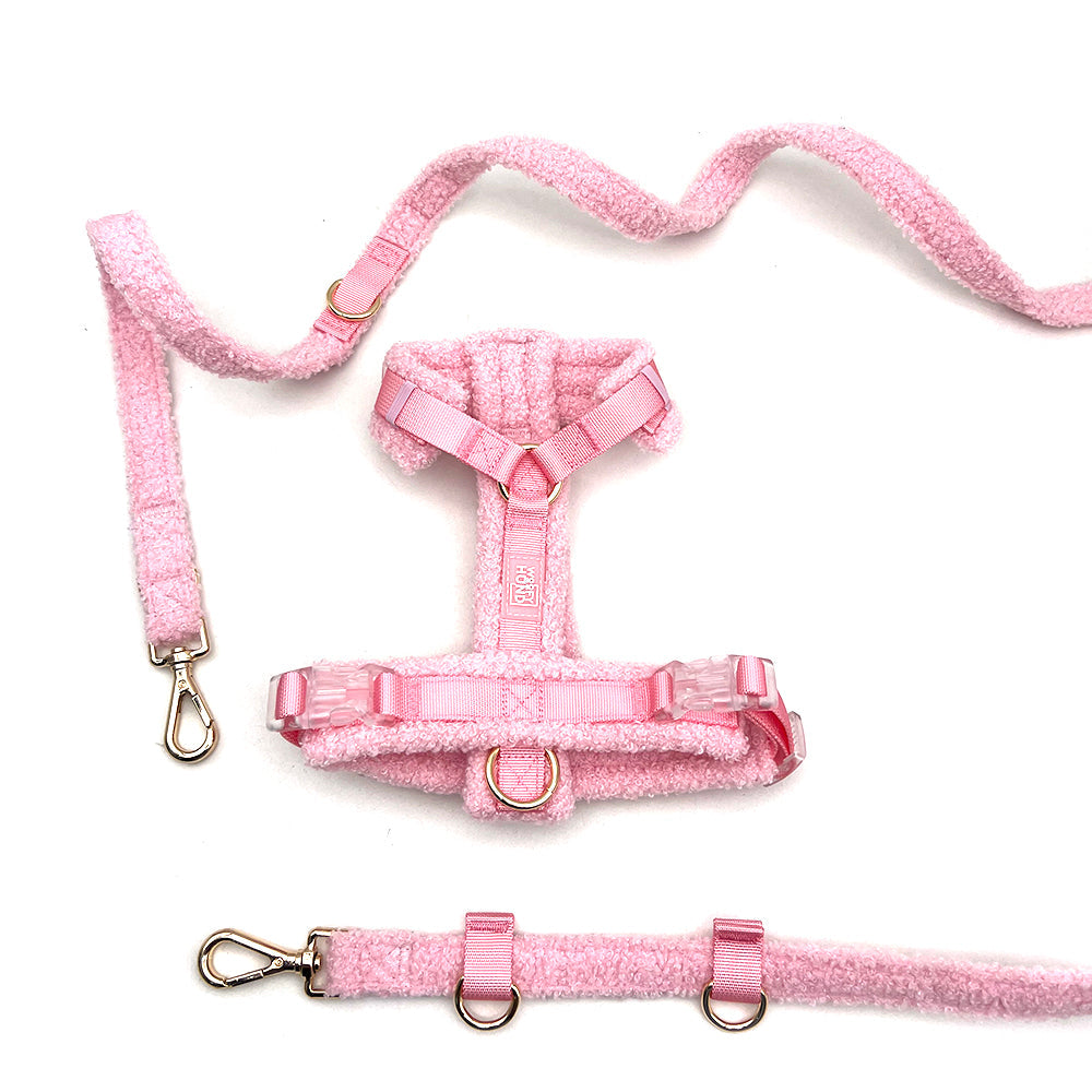 Hundegeschirr-Set Teddy Rosa