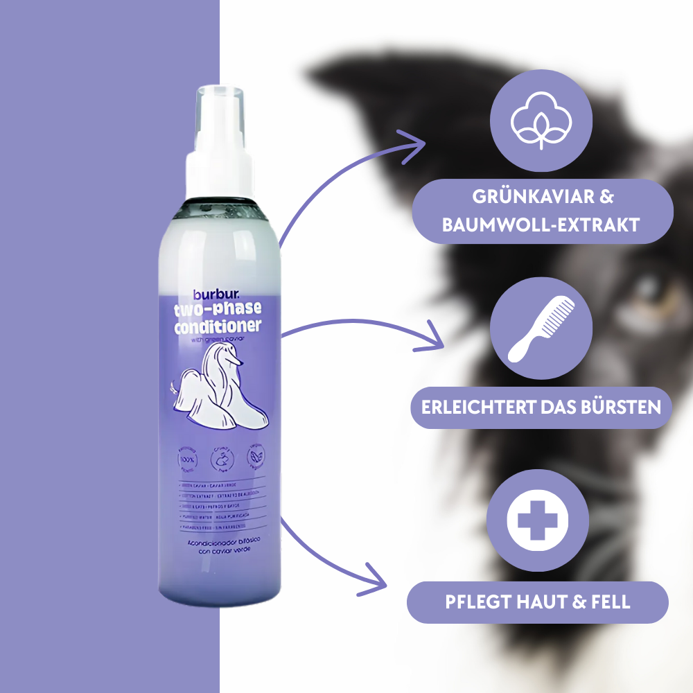 Biphasen Conditioner 250ml