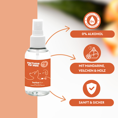 Duft Seven 100ml
