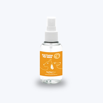 Duft Six 100ml