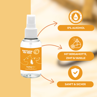 Duft Six 100ml
