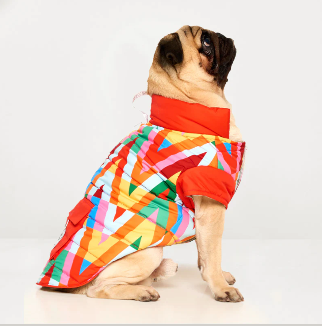 Color Splash Wasserdichte Pufferjacke