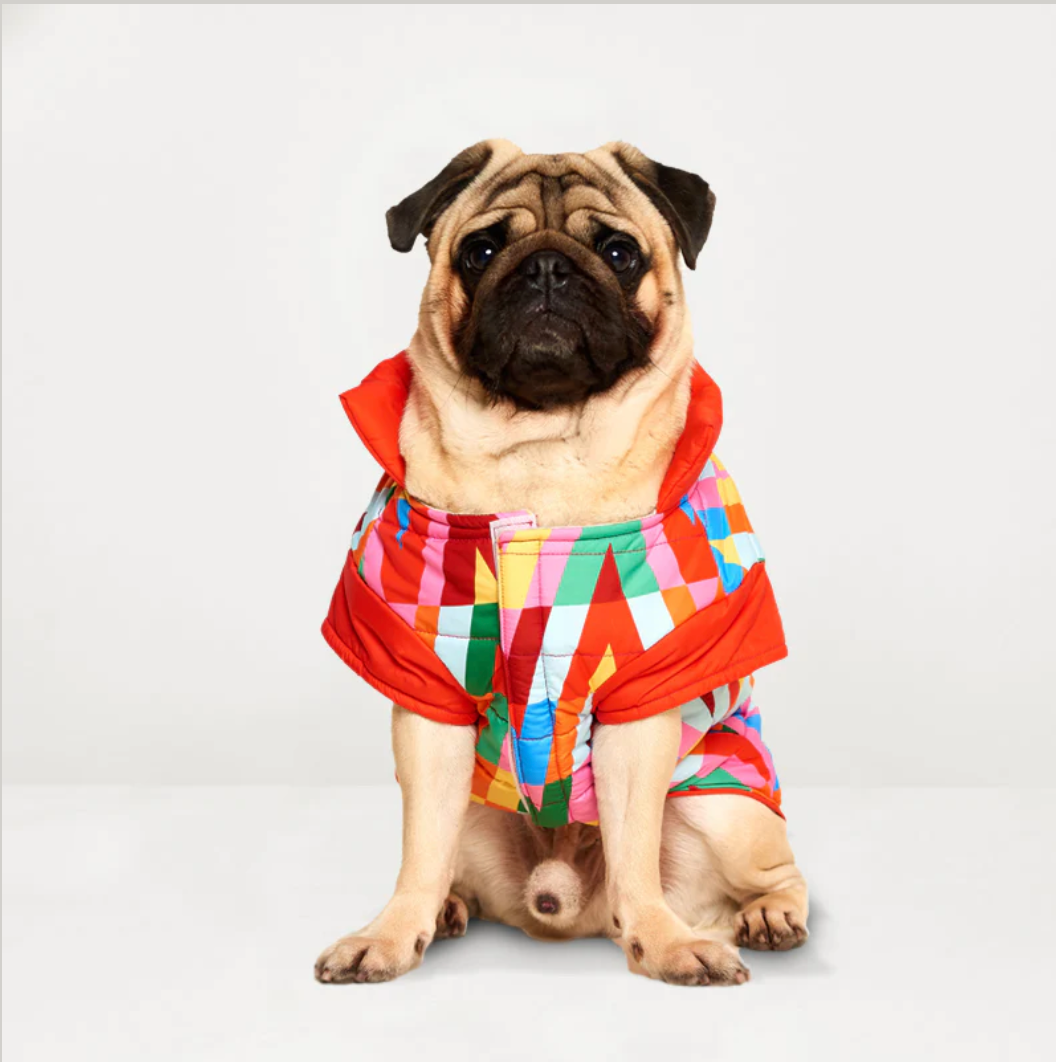 Color Splash Wasserdichte Pufferjacke