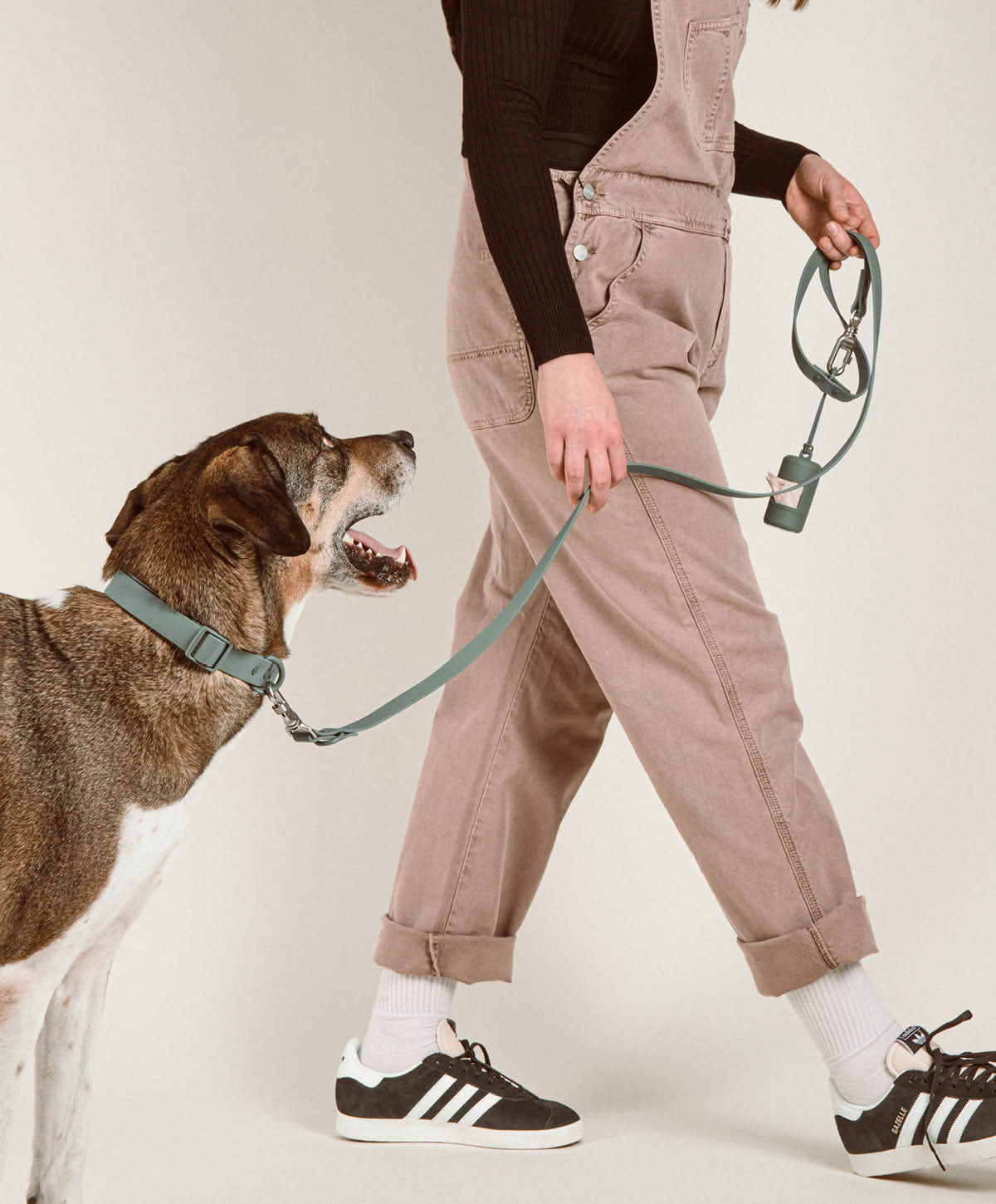 Walk & Play Set