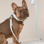Poop Bag Carrier Set