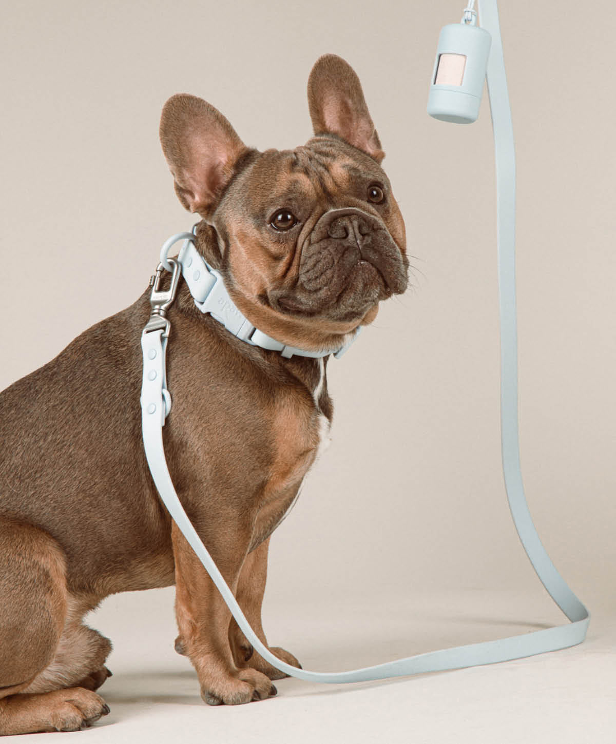 Walk Set Light