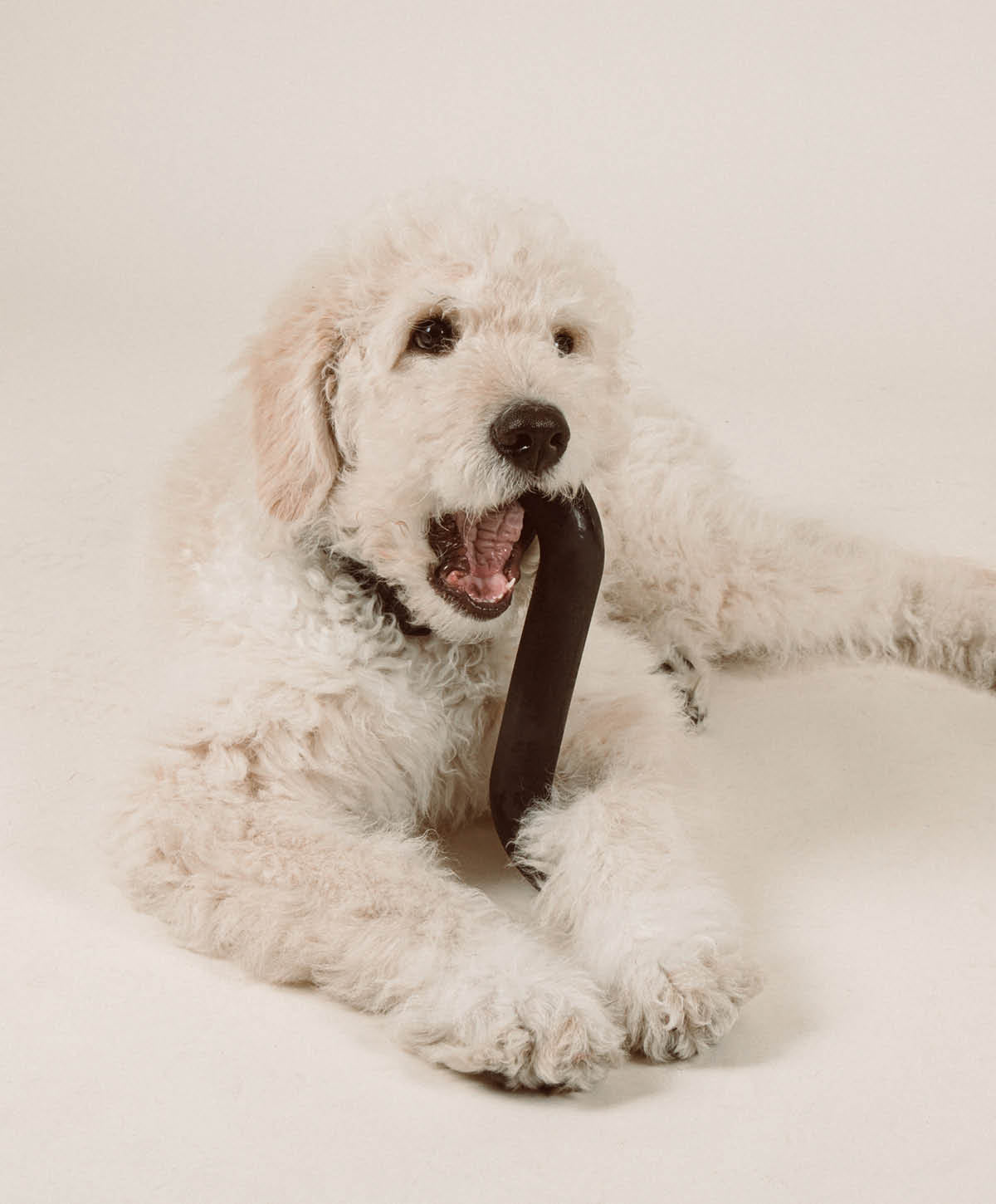 Rubber Bone