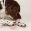 Rubber Bone
