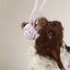 Twisted Rope Toy