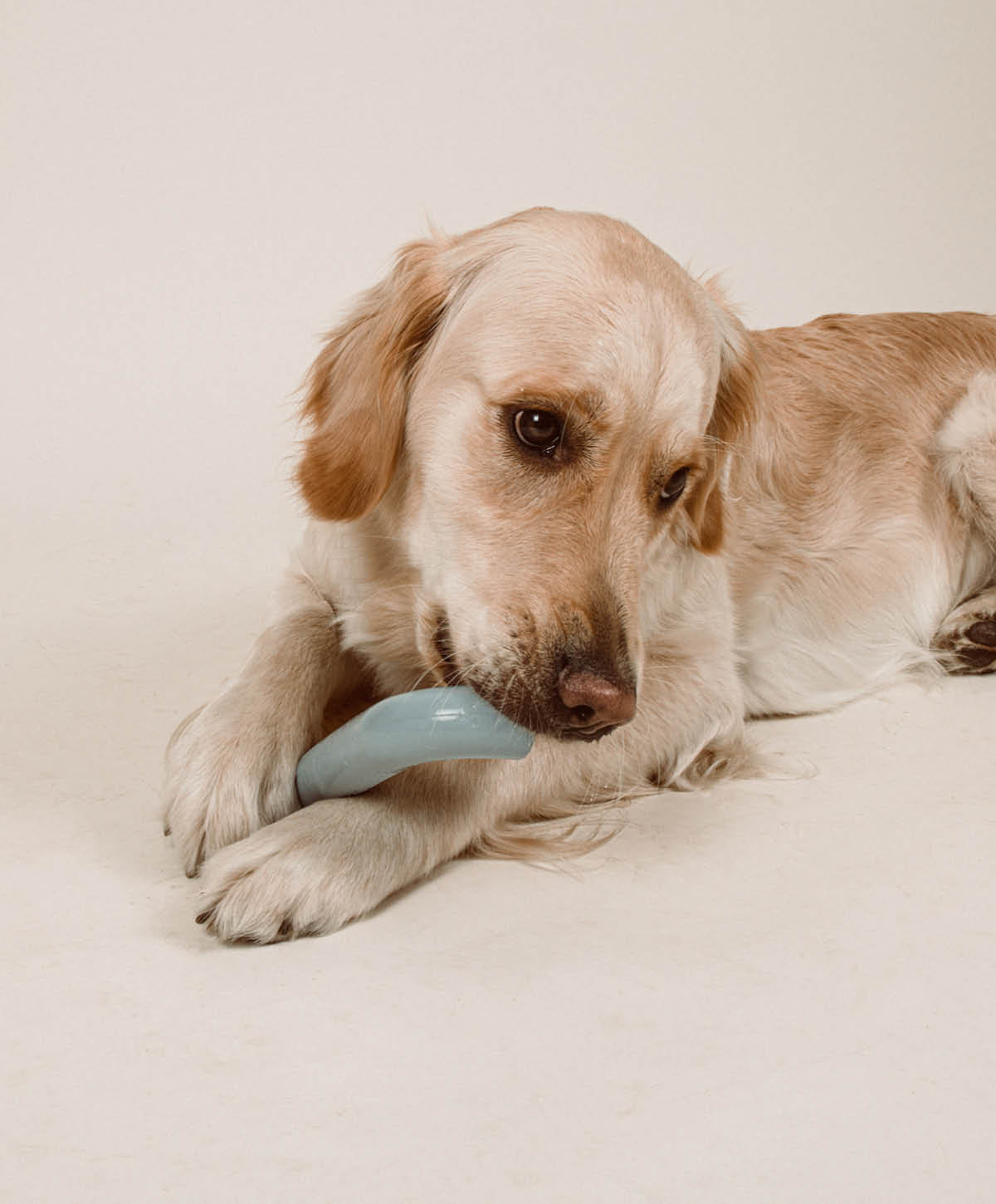 Rubber Bone