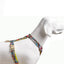 Hundegeschirr Ethnic-Vibrance