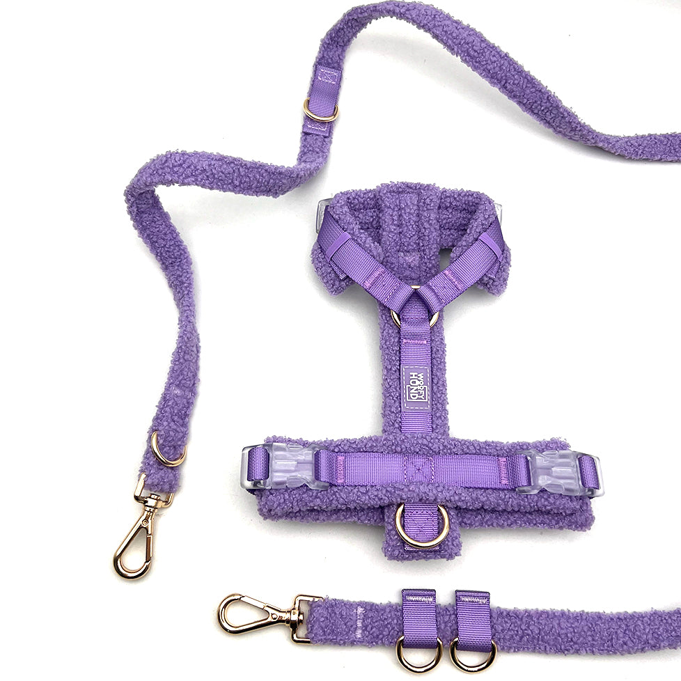 Hundegeschirr-Set Teddy Violett